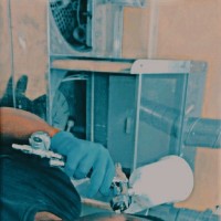 Hassan Kule