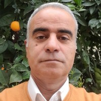 Omid Taadolkhah