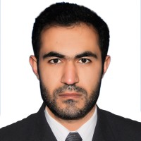 Muhammad Hameed Shirzad