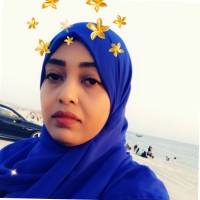 Mysoon Mohieldin
