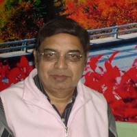 Vilas Vilas Adhyapak