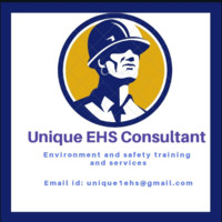 Unique EHS consultant