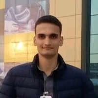 Hassan Amer