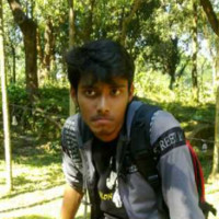Suman D.