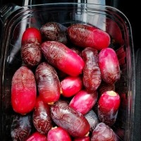 ميمو محفرلين