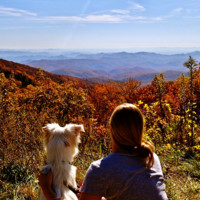 Jamie Huggins Policky