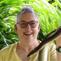 Ceinwen Currie