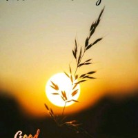 Abhishek Roy