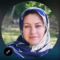 mozhdeh dailami