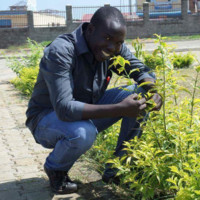 ANTHONY TABAN
