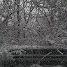 Latrina Wilson