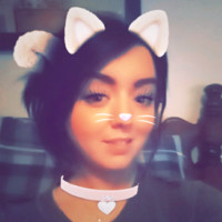 Amy Rose Cook