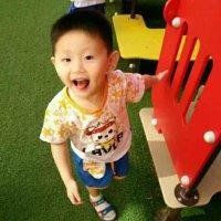 高少康