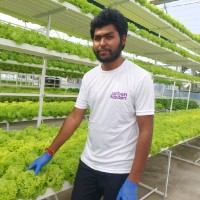 dinesh narra