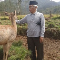 Didi Wargaprawira
