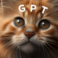 Chat Gipt