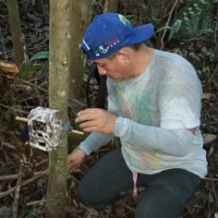 Robinson Del Castillo Gonzales