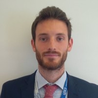 Gianluca Ginelli