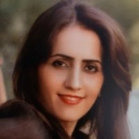 elnaz ghasemi