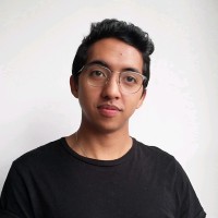 Nicolas Dominguez Camelo