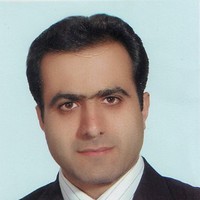 hamed vakili