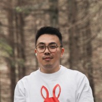 Vi Luu