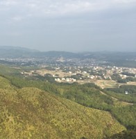 张开福