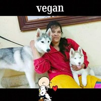 Vedashree R S