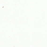 Mohammad Khurshid Alam