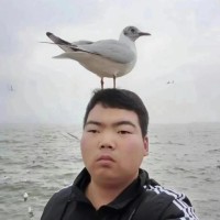 Liu Lin