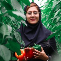 samaneh rajabi