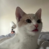 Angelica Buccat