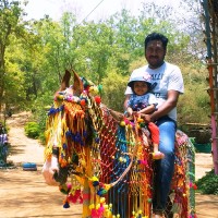 satish vasava