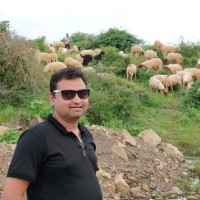 Sunil Chudasama