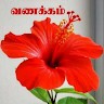 December Nathan R