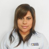 Sara Stefany Carrillo Conislla