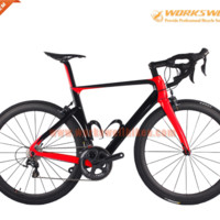 Sarah Workswell Carbon Bike Frame