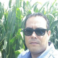 David Flores