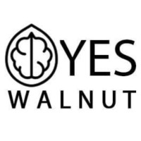 Yan Ali