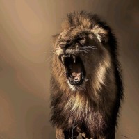 Luciano Souza Filho Souza