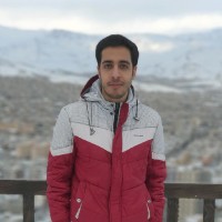 Mehran Amini