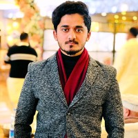 Malik Hamza Hamid