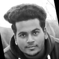 Desi Fellow