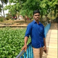 Raj Kumar