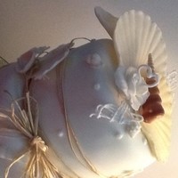 Clare Tutte