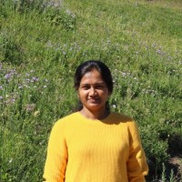 Jyothi K.