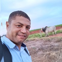 Anderson Lima