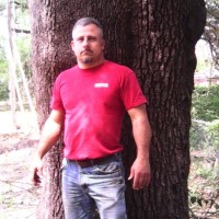 Phillip Reville