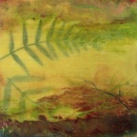 Jody Hewitt Brimhall