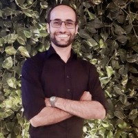 Flávio Luiz Santos Soares